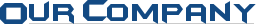 Our Company